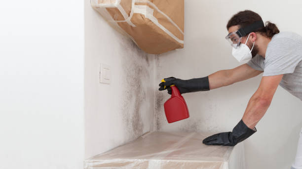 Professional Attic Mold Remediation technician working in Warminster, PA