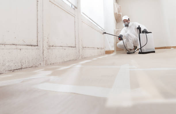 24/7 Emergency Attic Mold Remediation experts in Warminster, PA