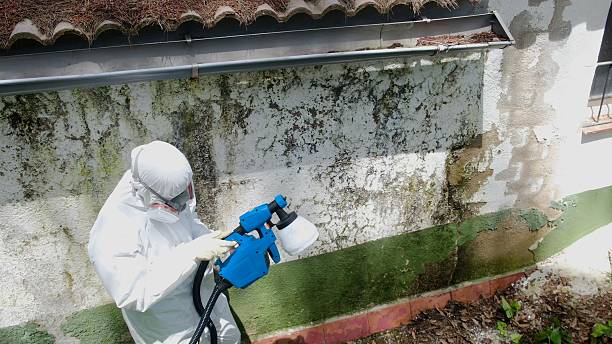 Top rated local Attic Mold Remediation specialists in Warminster, PA
